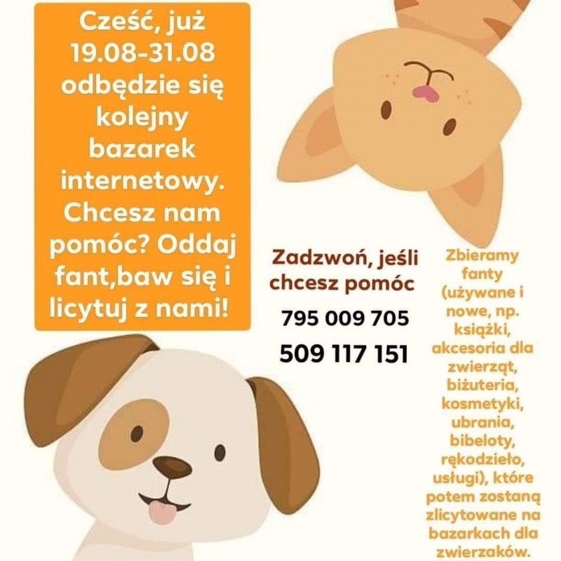 Bazarek na rzecz bezdomniaków