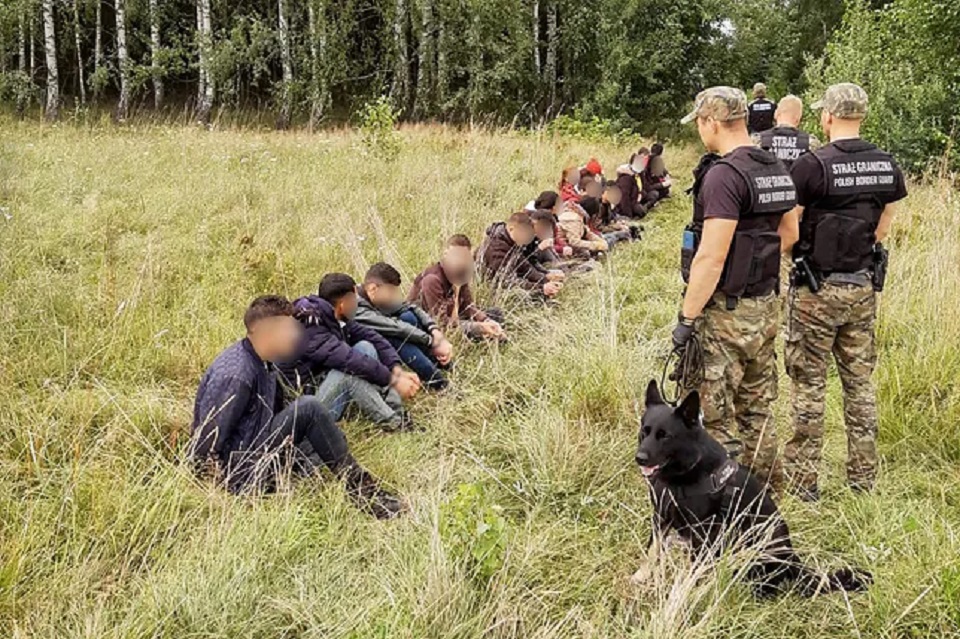 Podlaskie. Imigranci koczują na terytorium Białorusi tuż przy polskiej granicy