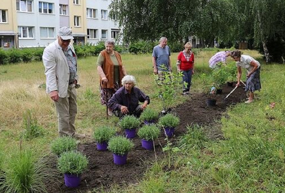 Gdańsk. Bezpłatne zajęcia dla seniorów “Aktywni z wiekiem” 