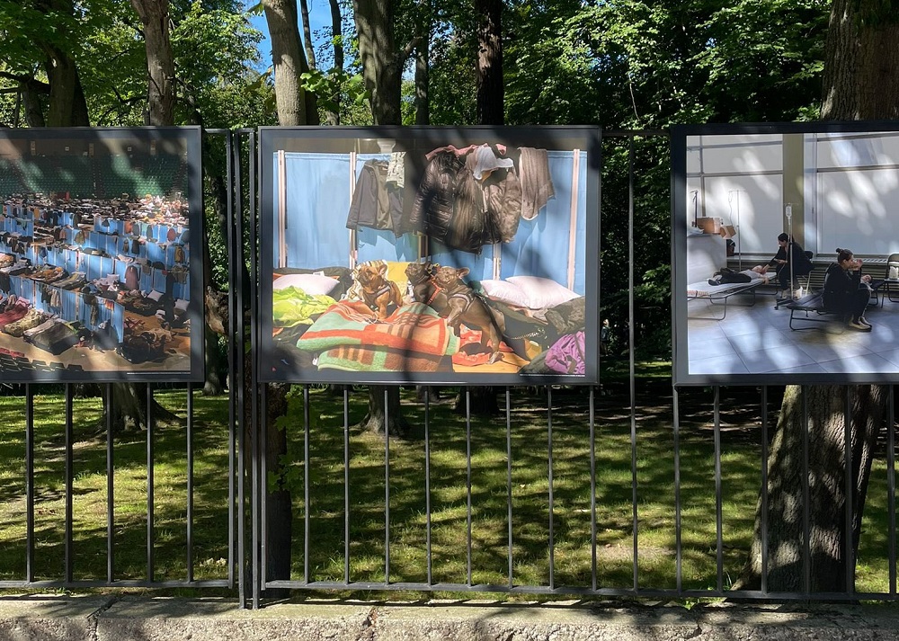 Gdańsk. Solidarność w obliczu wojny zaprezentowana na wystawie