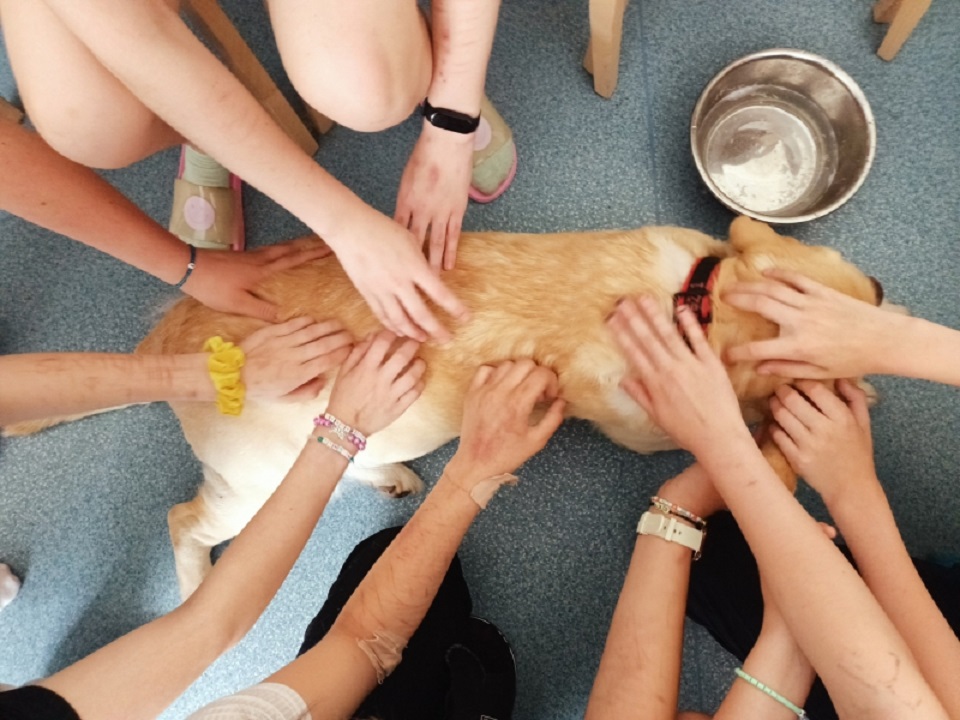 Dogoterapia. Już ponad 25 tysięcy beneficjentów programu
