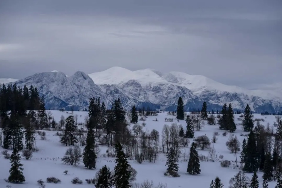 Zakopane. Powiat pożyczy na budowę Centrum Wsparcia PSONI