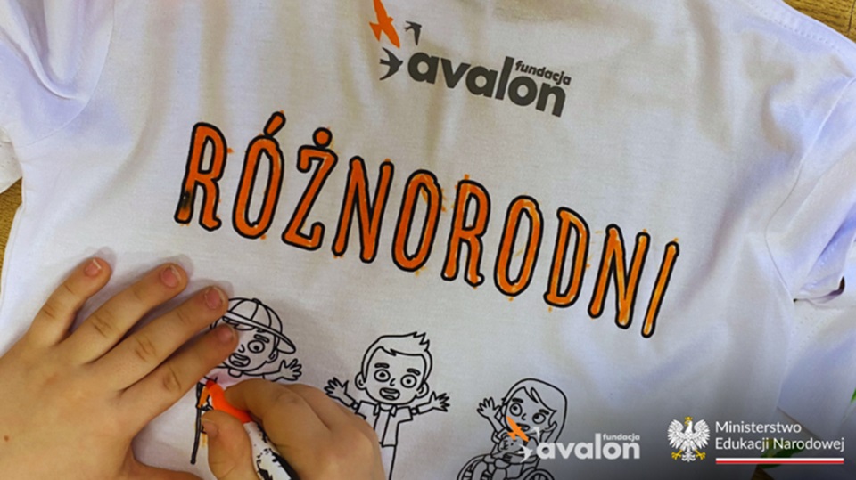 Fundacja Avalon. Podsumowanie projektu “Różnorodni”