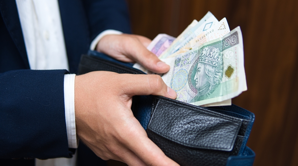 Młodsi i bardziej zadłużeni. Multidłużnicy w Polsce