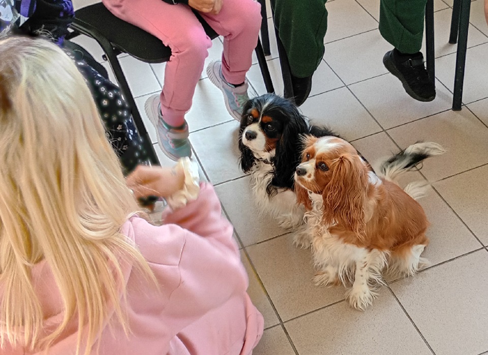 Stargard. Dogoterapia z unijnym wsparciem
